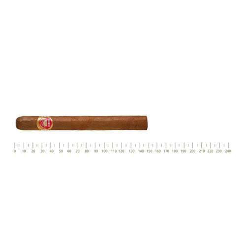 H.Upmann Majestic