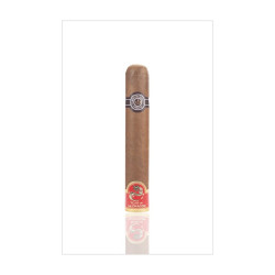 MONTECRISTO BRILLANTES